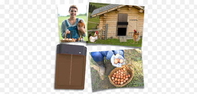Automatic Chicken Coop Door