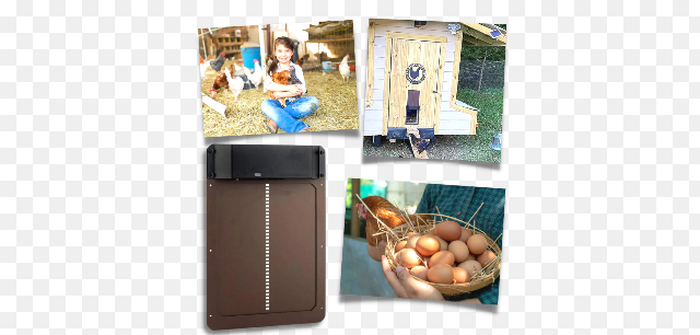 Automatic Chicken Coop Door