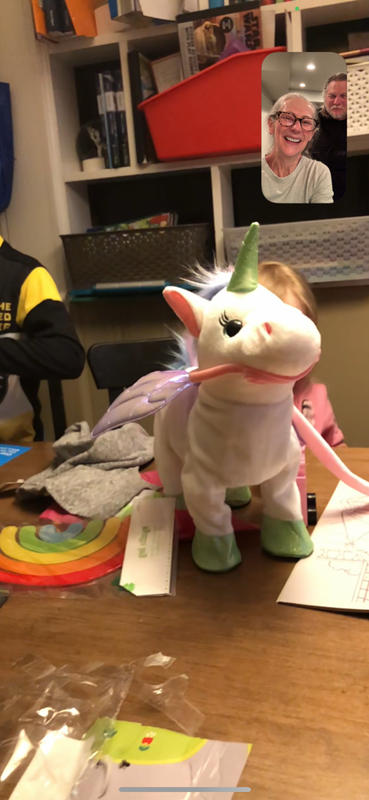 Walking & Singing Unicorn