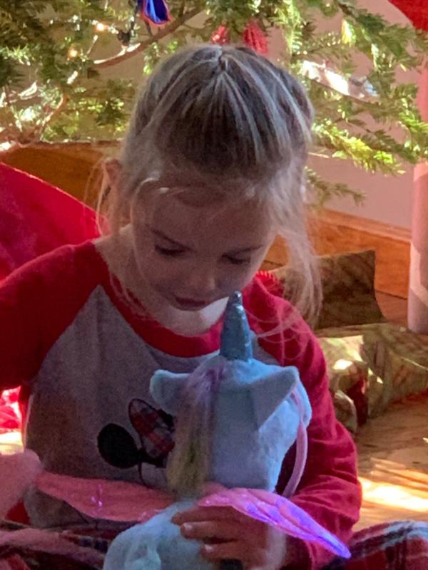 Walking & Singing Unicorn