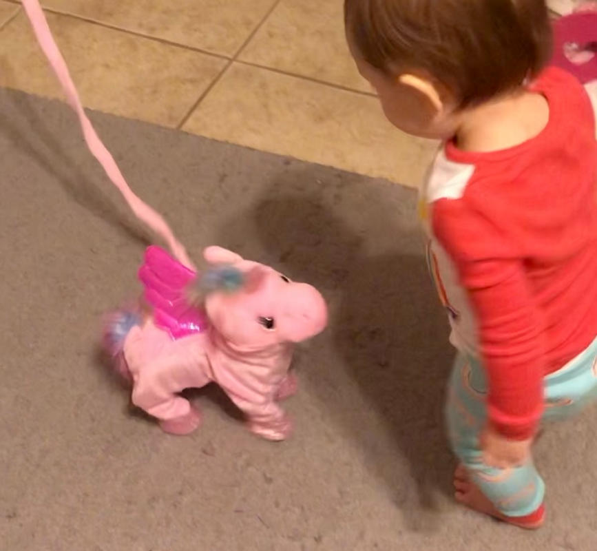 Walking & Singing Unicorn
