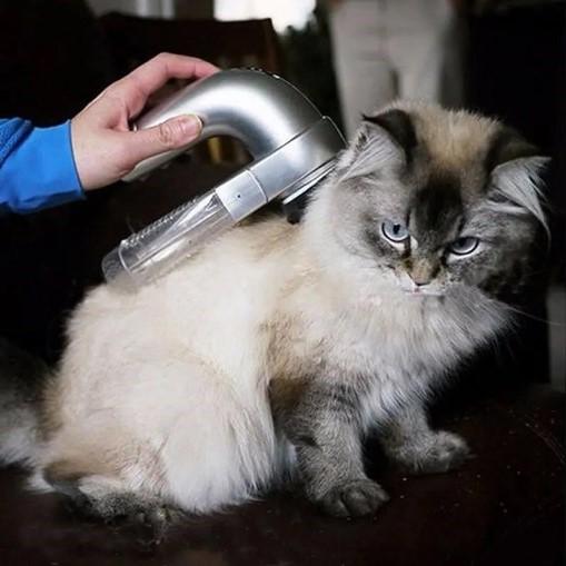 Cat Dog Vacuum Brush Tool