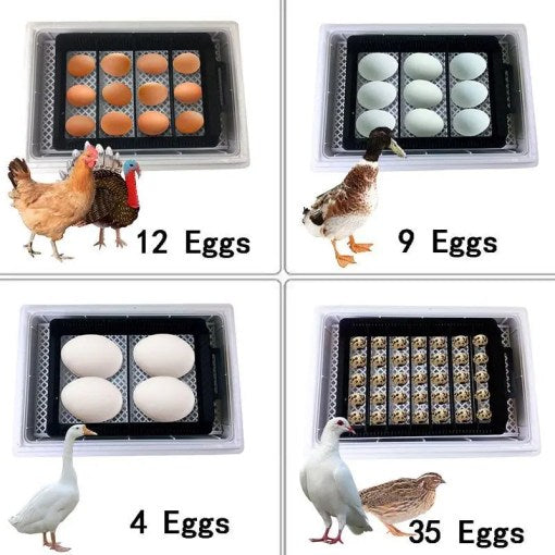 35 Premium Auto Chicken Egg Incubator
