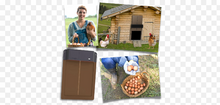 Load image into Gallery viewer, Automatic Chicken Coop Door
