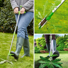 Load image into Gallery viewer, Garden Weed Remover
