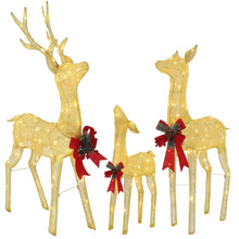 Load image into Gallery viewer, Pre-Lit 3 Piece Deer Family Set Outdoor Christmas Decoration
