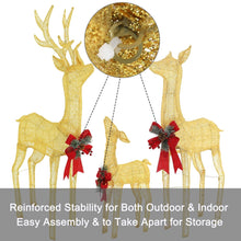 Load image into Gallery viewer, Pre-Lit 3 Piece Deer Family Set Outdoor Christmas Decoration
